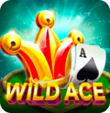Wild Ace Wild Ace
